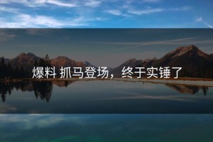 爆料 抓马登场，终于实锤了