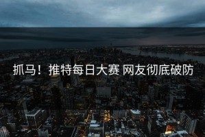 抓马！推特每日大赛 网友彻底破防