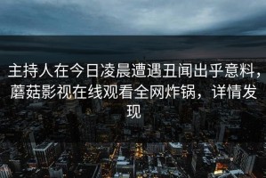 主持人在今日凌晨遭遇丑闻出乎意料，蘑菇影视在线观看全网炸锅，详情发现