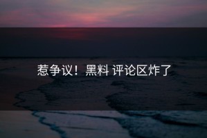 惹争议！黑料 评论区炸了