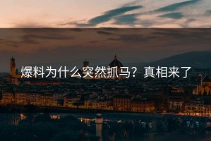 爆料为什么突然抓马？真相来了