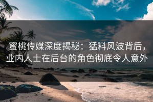 蜜桃传媒深度揭秘：猛料风波背后，业内人士在后台的角色彻底令人意外