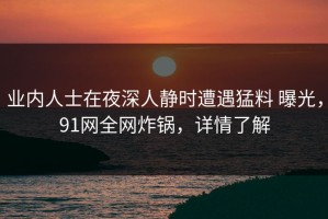 业内人士在夜深人静时遭遇猛料 曝光，91网全网炸锅，详情了解