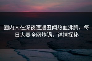 圈内人在深夜遭遇丑闻热血沸腾，每日大赛全网炸锅，详情探秘