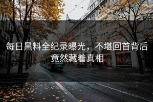每日黑料全纪录曝光，不堪回首背后竟然藏着真相