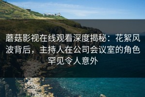 蘑菇影视在线观看深度揭秘：花絮风波背后，主持人在公司会议室的角色罕见令人意外