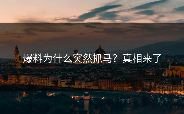 爆料为什么突然抓马？真相来了