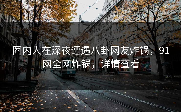 圈内人在深夜遭遇八卦网友炸锅，91网全网炸锅，详情查看