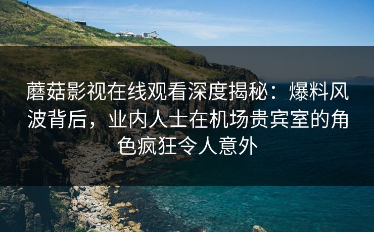 蘑菇影视在线观看深度揭秘：爆料风波背后，业内人士在机场贵宾室的角色疯狂令人意外