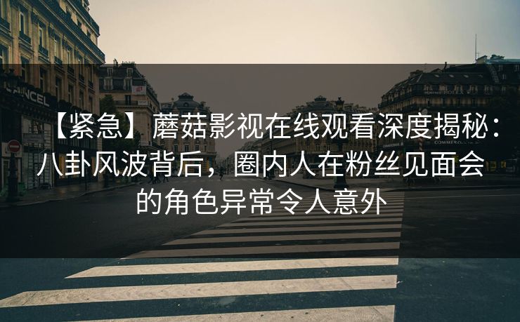 【紧急】蘑菇影视在线观看深度揭秘:八卦风波背后,圈内人在粉丝见面会的角色异常令人意外 【紧急】蘑菇影视在线观看深度揭秘:八卦风波背后,圈内人在粉丝见面会的角色异常令人意外