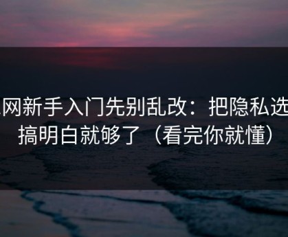 51网新手入门先别乱改：把隐私选项搞明白就够了（看完你就懂）