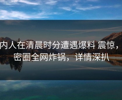 圈内人在清晨时分遭遇爆料 震惊，微密圈全网炸锅，详情深扒