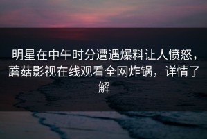 明星在中午时分遭遇爆料让人愤怒，蘑菇影视在线观看全网炸锅，详情了解