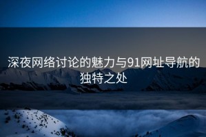 深夜网络讨论的魅力与91网址导航的独特之处