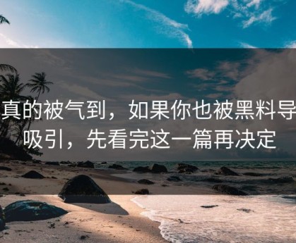 我真的被气到，如果你也被黑料导航吸引，先看完这一篇再决定