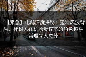 【紧急】电鸽深度揭秘：猛料风波背后，神秘人在机场贵宾室的角色超乎常理令人意外