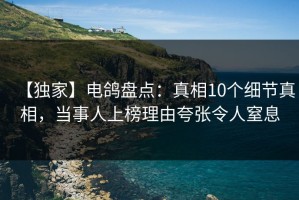 【独家】电鸽盘点：真相10个细节真相，当事人上榜理由夸张令人窒息
