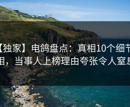 【独家】电鸽盘点：真相10个细节真相，当事人上榜理由夸张令人窒息
