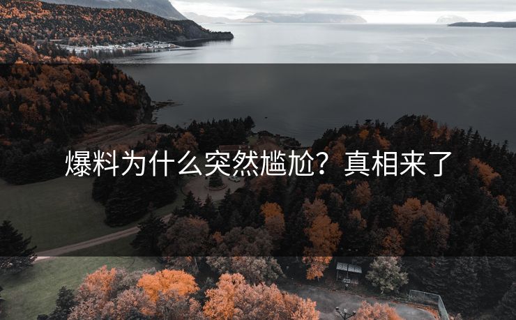 爆料为什么突然尴尬？真相来了