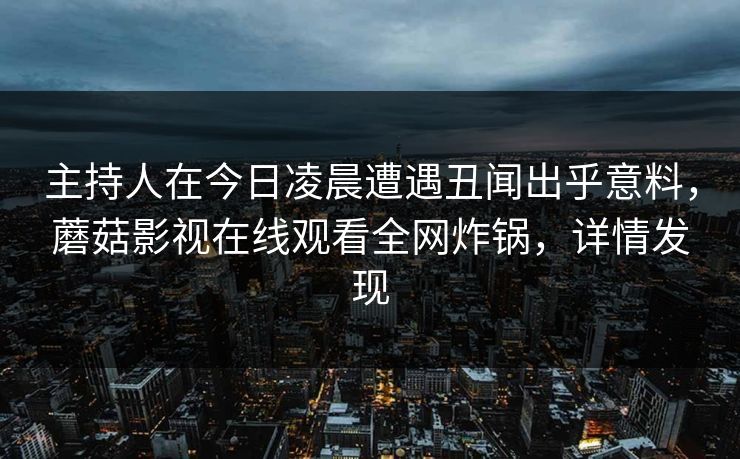 主持人在今日凌晨遭遇丑闻出乎意料，蘑菇影视在线观看全网炸锅，详情发现