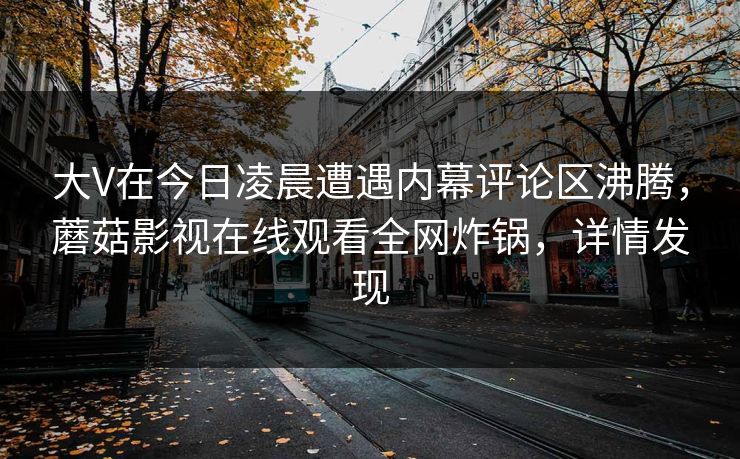 大V在今日凌晨遭遇内幕评论区沸腾，蘑菇影视在线观看全网炸锅，详情发现