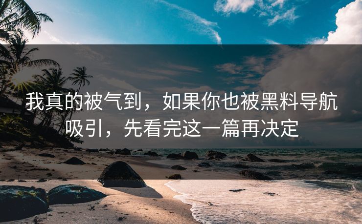 我真的被气到，如果你也被黑料导航吸引，先看完这一篇再决定